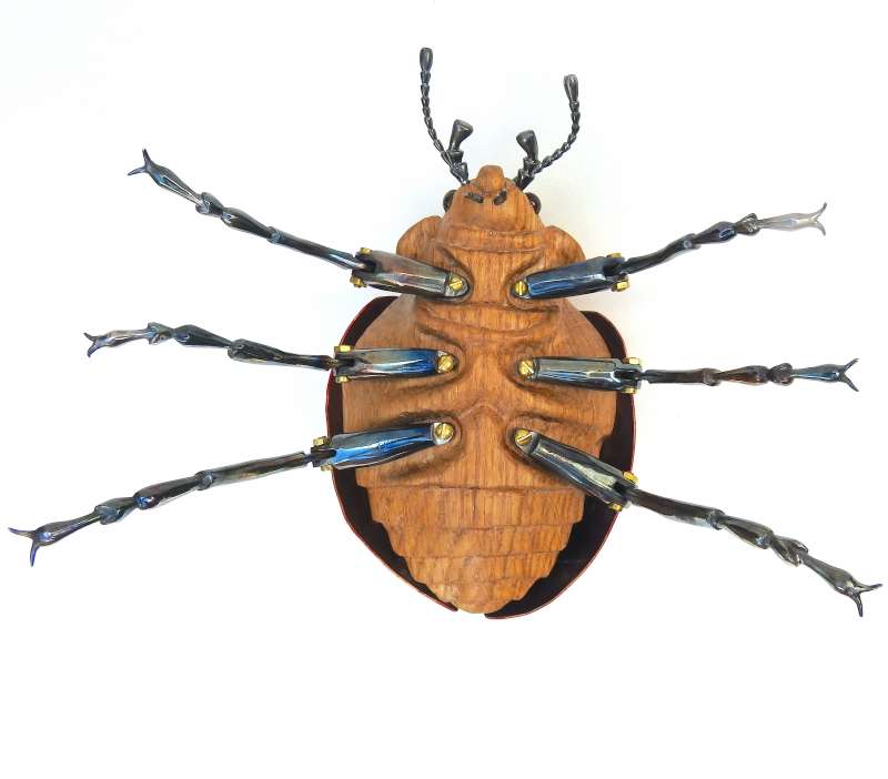 Ladybird